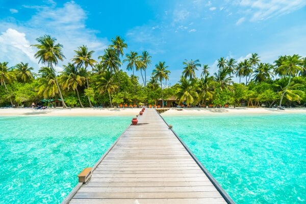 Imagem de uma praia deslumbrante em uma ilha paradisíaca com palmeiras balançando ao vento e o oceano azul ao fundo.